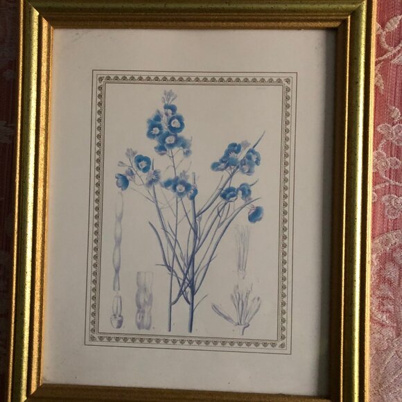 Two wall decor with flowers art prints and nice frames home decoration - Picture 4 of 9